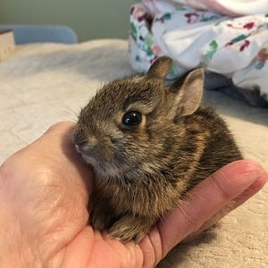 Meet your Posher, Zoe